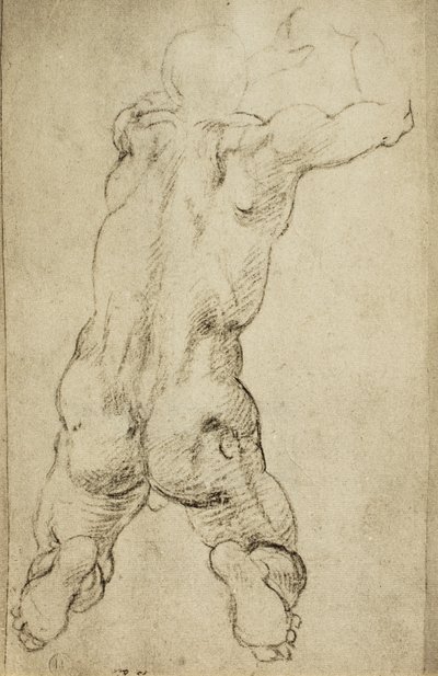 Studio di una figura virile da Michelangelo Buonarroti